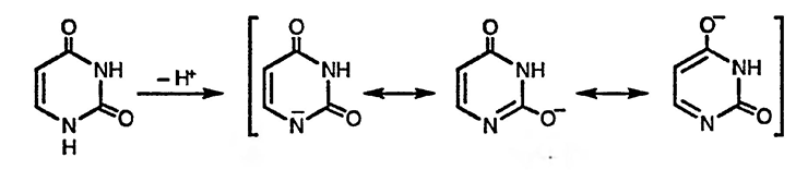 Рисунок 10. Раздел 10. Общая характеристика реакционной способности диазинов: пиридазин, пиримидин и пиразин