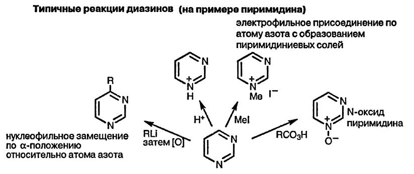 Рисунок 2. Раздел 10. Общая характеристика реакционной способности диазинов: пиридазин, пиримидин и пиразин