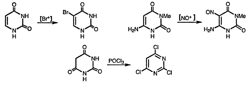 Рисунок 9. Раздел 10. Общая характеристика реакционной способности диазинов: пиридазин, пиримидин и пиразин