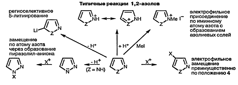 Рисунок 2. Раздел 20. Общая характеристика реакционной способности 1,3 и 1,2-азолов