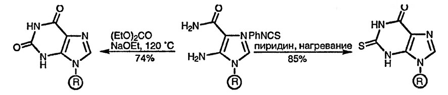 Рисунок 2. Раздел 24.13.1.2. Из 5-аминоимидазол-4-карбоксамида или 5-аминоимидазол-4-карбонитрила