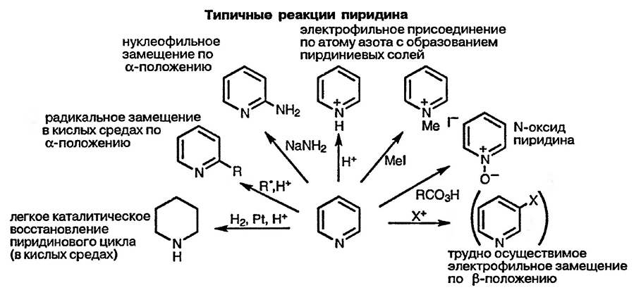 Рисунок 2. Раздел 4. Общая характеристика реакционной способности пиридинов, хинолинов и изохинолинов