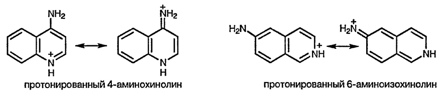 Рисунок 1. Раздел 6.11. Аминохинолины и аминоизохинолины