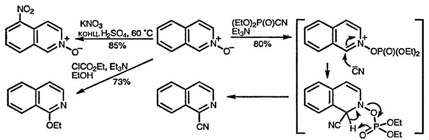 Рисунок 1. Раздел 6.15. N-оксиды хинолина и изохинолина