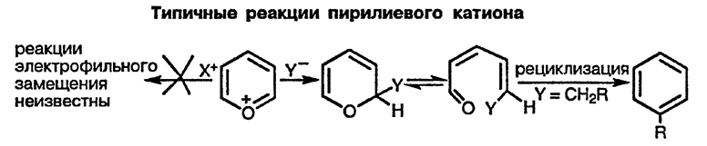 Рисунок 2. Раздел 7. Общая характеристика реакционной способности солей пирилия и бензопирилия, пиронов и бензопиронов