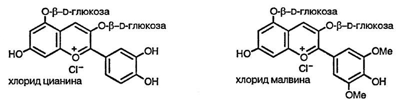 Рисунок 1. Раздел 9.1.6. 1-Бензопирилиевые пигменты; антоцианины и антоцианидины