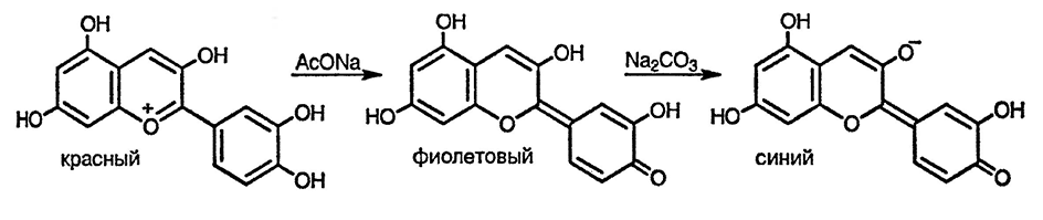 Рисунок 2. Раздел 9.1.6. 1-Бензопирилиевые пигменты; антоцианины и антоцианидины