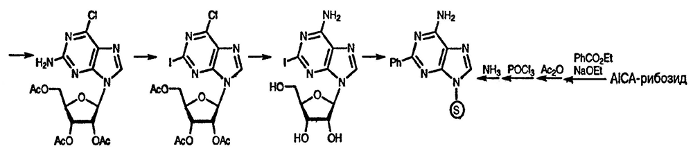Рисунок-ответ № 1. Глава 24. Каково строение промежуточных соединений и конечных продуктов в следующей последовательности превращений: гуанозин-2’3’5’-триацетат реагирует с POCl3 → C16H18ClN5O7, затем это соединение с трет-BuONO/CH2I2 → C16H16ClN4O7, затем NH3/MeOH → C10H12IN5O4 и, наконец, последнее соединение с PhB(OH)2/Pd(PPh3)4/Na2CO3 → C16H17N5O4. Как такой пурин может быть получен из AICA-рибозида в четыре стадии?