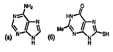 Рисунок-ответ № 4. Глава 24. Нарисуйте структуры пуринов, образующихся в следующих реакциях:а) нагревание 4,5,6-триаминопиримидина с формамидом;б) обработка 2-метил-4,5-ди-аминопиримидин-6-она дитиоформиатом натрия, затем нагревание в хинолине.