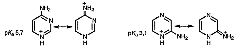 Рисунок 1. Раздел 11.11. Аминодиазины