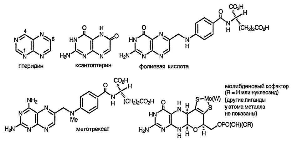 Рисунок 1. Раздел 11.15. Птеридины