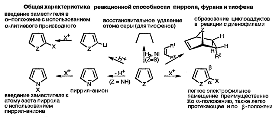 Рисунок 1. Раздел 12. Общая характеристика реакционной способности пирролов, тиофенов и фуранов