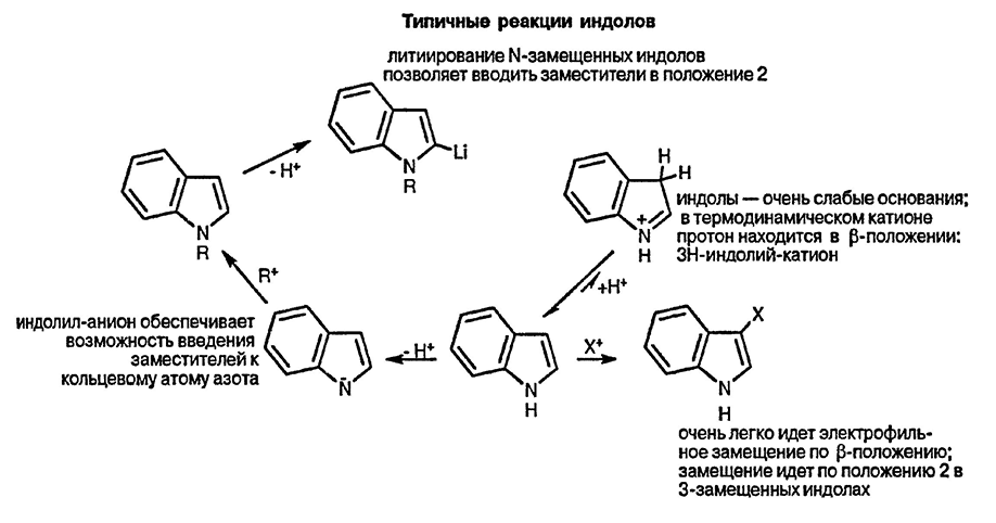 Рисунок 2. Раздел 16. Общая характеристика реакционной способности индолов бнезо[<em>b</em>]тиофинов, бензо[<em>b</em>]фуранов, изоиндолов, бензо[<em>c</em>]тиофенов и изобензофуранов