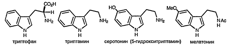 Рисунок 2. Раздел 17. Индолы: реакции и методы синтеза