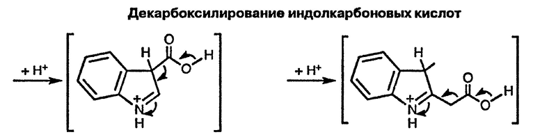 Рисунок 1. Раздел 17.13. Индолкарбоновые кислоты