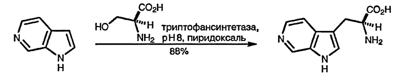 Рисунок 4. Раздел 2.9. Биологические процессы в химии гетероциклических соединений