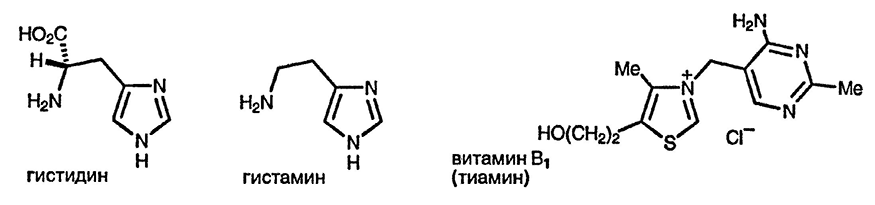 Рисунок 2. Раздел 21. 1,3-азолы — имидазолы, тиазолы и оксазолы: реакции и методы синтеза