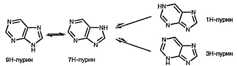 Рисунок 2. Раздел 24. Пурины: реакции и методы синтеза