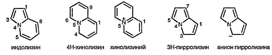 Рисунок 1. Раздел 25. Гетероциклы, содержащие узловой атом азота