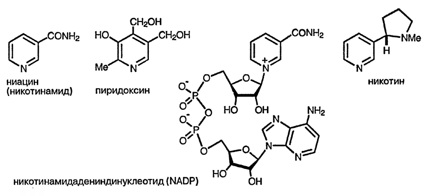 Рисунок 2. Раздел 5. Пиридины: реакции и методы синтеза