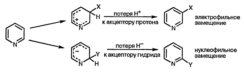 Рисунок 1. Раздел 5.3. Реакции с нуклеофильными реагентами