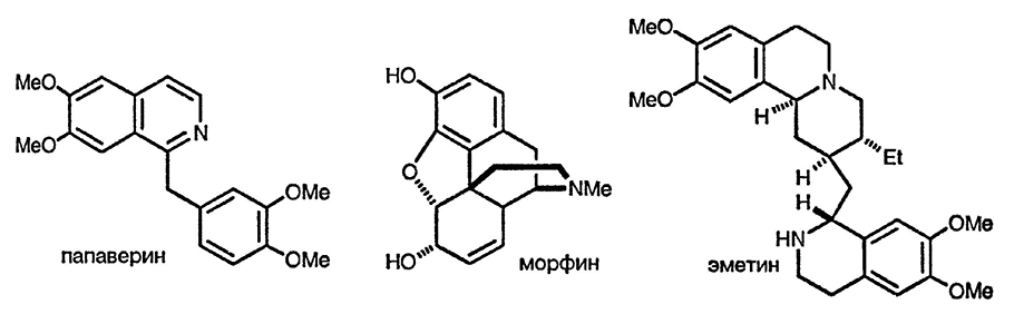 Рисунок 3. Раздел 6. Хинолины и изохинолины: реакции и методы снитеза