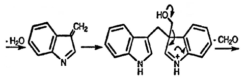 Рисунок-ответ № 10. Глава 17. При нагревании индол-3-ил-CH2OH с кислотой образуется ди(индол-3-ил)метан. Каков механизм этого превращения?