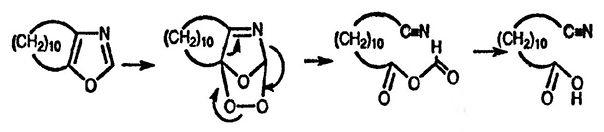 Рисунок-ответ № 3. Глава 21. При нагревании циклического ацилоина c-(CH2)10COCH(OH) с формамидом в присутствии кислоты образуется бициклический оксазол C13H21NO; какова его структура? Затем этот бициклический оксазол под действием кислорода с последующим нагреванием превращается в ациклическую цианокислоту HO2C(CH2)10CN; напишите механизм этого процесса.