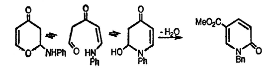 Рисунок-ответ № 4. Глава 8. Предложите механизм превращения 4-пирона в 1-фенил-4-пиридон при взаимодействии с анилином. Нарисуйте структуры соединений, образования которых можно было бы ожидать при взаимодействии метилкумалата (5-метоксикарбонил-2-пирона) с бензиламином.